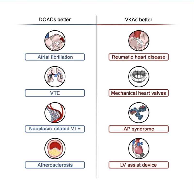 Claudio Laudani: DOACs Have Transformed the Landscape of Anticoagulation