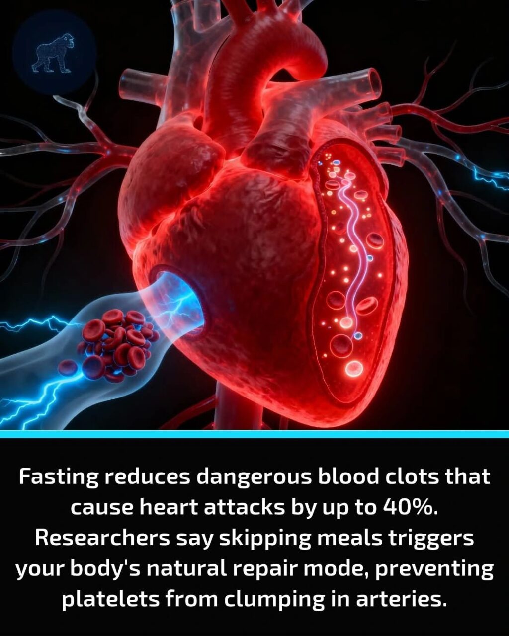 Vincentius Liong: Your Heart Might Thank You For Skipping Breakfast