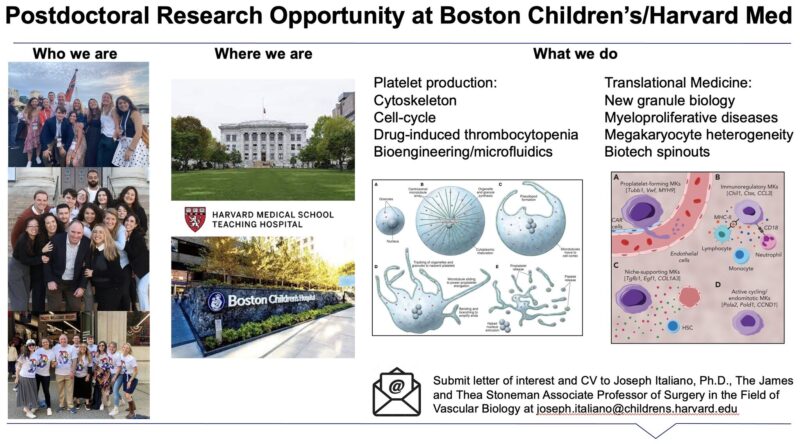 Joseph Italiano: Join Us to Pursue Cutting-Edge Research at the Interface of Megakaryocyte Biology 1 Joseph Italiano: Join Us to Pursue Cutting-Edge Research at the Interface of Megakaryocyte Biology