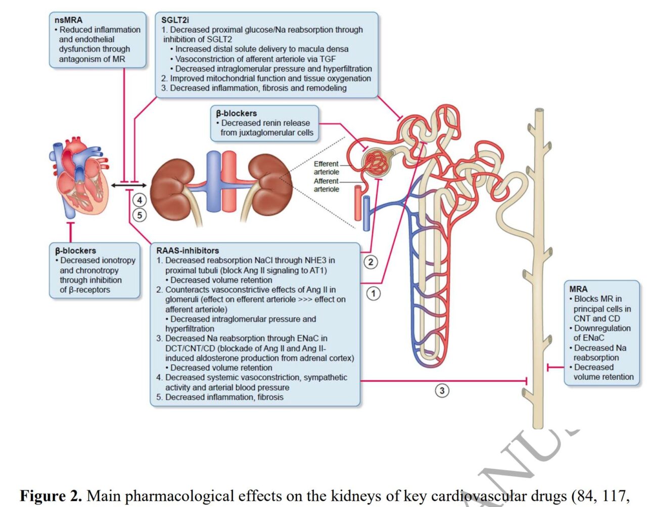 Tarek Abbas: Patients With Advanced Cardiovascular Kidney Metabolic Syndrome Have High Risk of Cardiovascular Complications