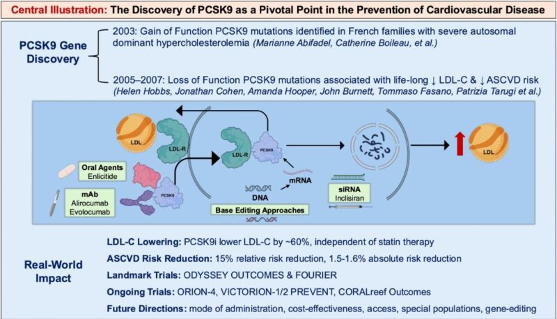 Pablo Corral Shares Key Insights from the State-of-the-Art Review on PCSK9 1 Pablo Corral Shares Key Insights from the State-of-the-Art Review on PCSK9