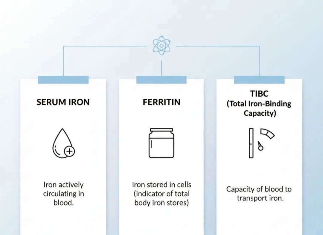 Tareq Abadl Differences the 3 Common Iron Tests