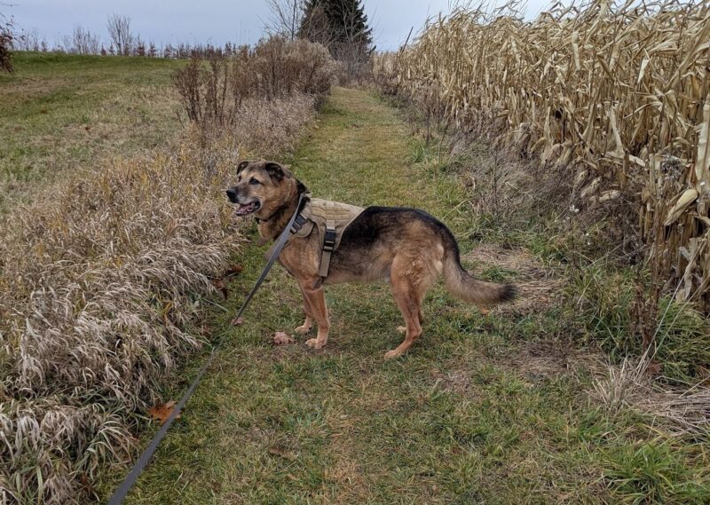 Overwhelmed? A Leader’s Guide from Mark Crowther to Getting Back on Track