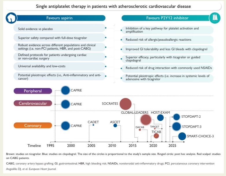 Mattia Galli on The Choice in ASCVD: Aspirin or P2Y12 Inhibitor Monotherapy?