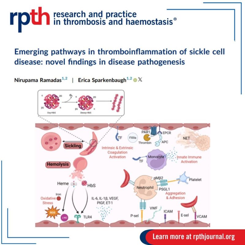 Nirupama Ramadas and Erica Sparkenbaugh on Thromboinflammation in SCD