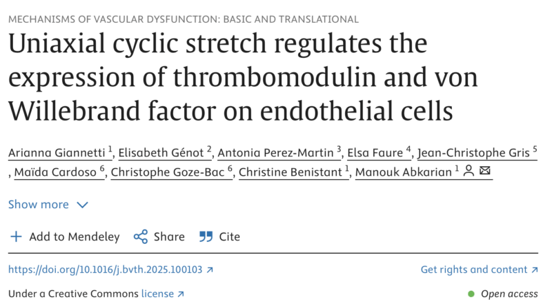Arianna Giannetti: Ever Wondered If Mechanical Stretch Could Play a Role in DVT?