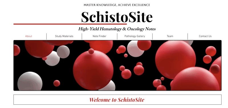 Mehdi Kashani: I’m Really Excited to Share Schistosite.com