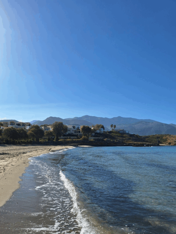 Exploring Molecular Pathways of Aging in Hematopoiesis․ FEBS Workshop 2025