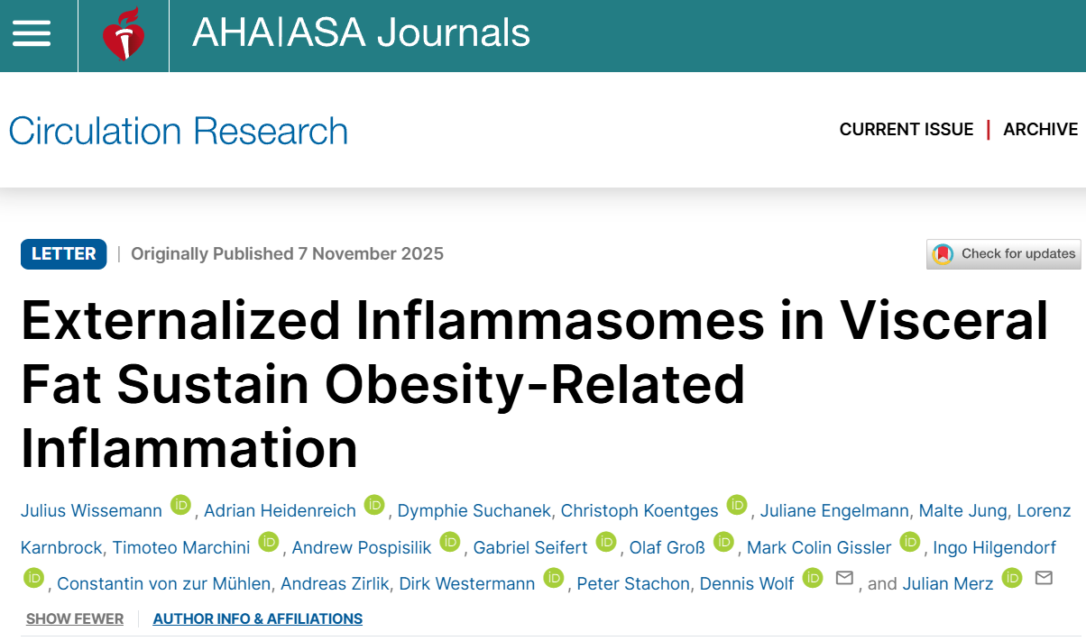 Dennis Wolf Investigates How Visceral Fat Drives Systemic Inflammation 1 Dennis Wolf Investigates How Visceral Fat Drives Systemic Inflammation