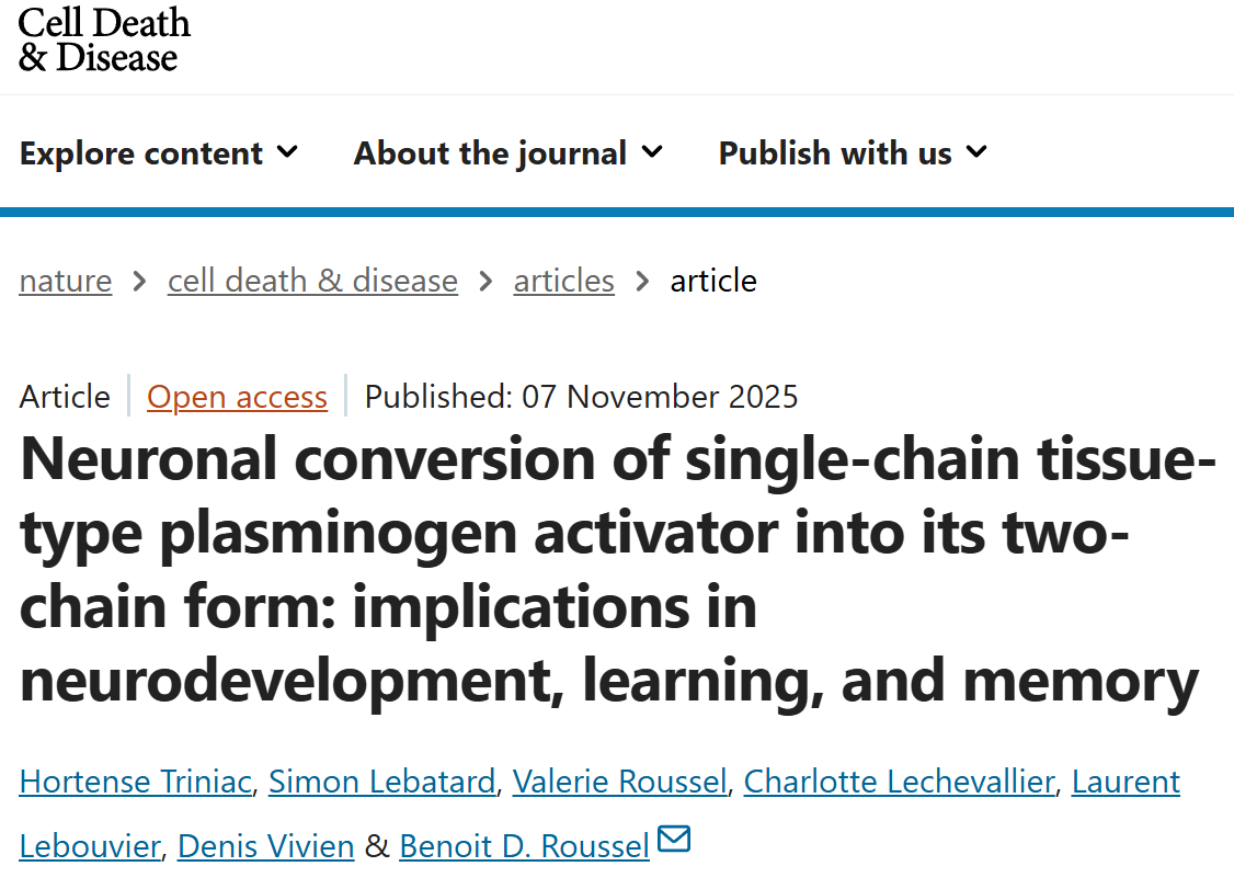 Hortense Triniac Shares PhD Research: How Cortical Neurons Process and Activate tPA 1 Hortense Triniac Shares PhD Research: How Cortical Neurons Process and Activate tPA