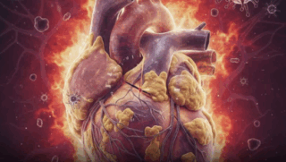 Why Hidden Fat, Not Weight, Predicts Heart Aging