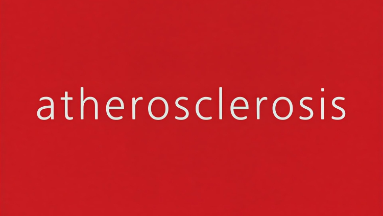 Atherosclerosis – How Much Does Fitness Really Add to Cardiovascular Risk Assessment?