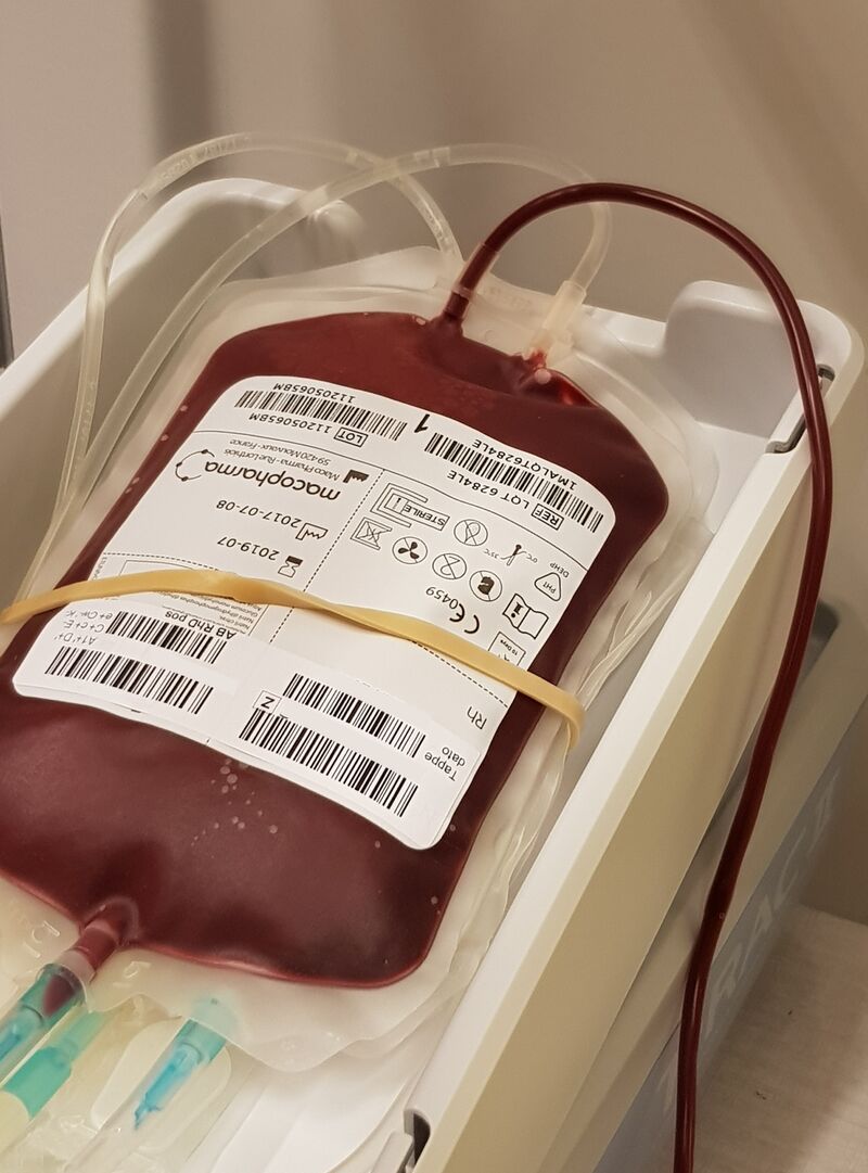 Maxime Dely: Do the Seasons Influence the Quality of Our Blood Donations? 1 Maxime Dely: Do the Seasons Influence the Quality of Our Blood Donations?