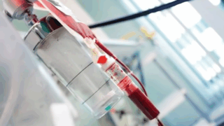 Global Standard Protocol for Managing Transfusion Reactions