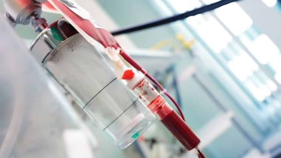 Global Standard Protocol for Managing Transfusion Reactions