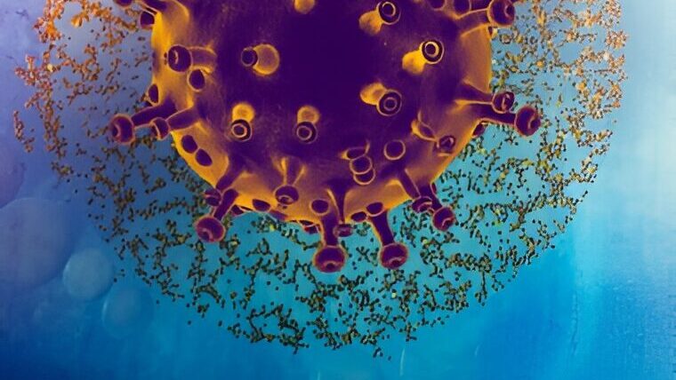 How CAR-NK Cells Could Work Better than CAR-T Cells