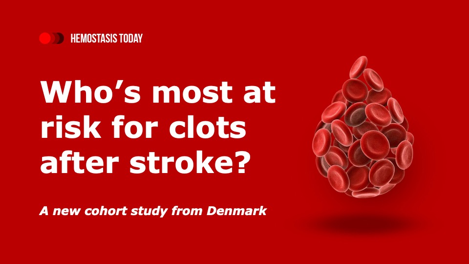 Ditte Vestergaard Hansen and Colleagues on Predictors of VTE Post-Stroke