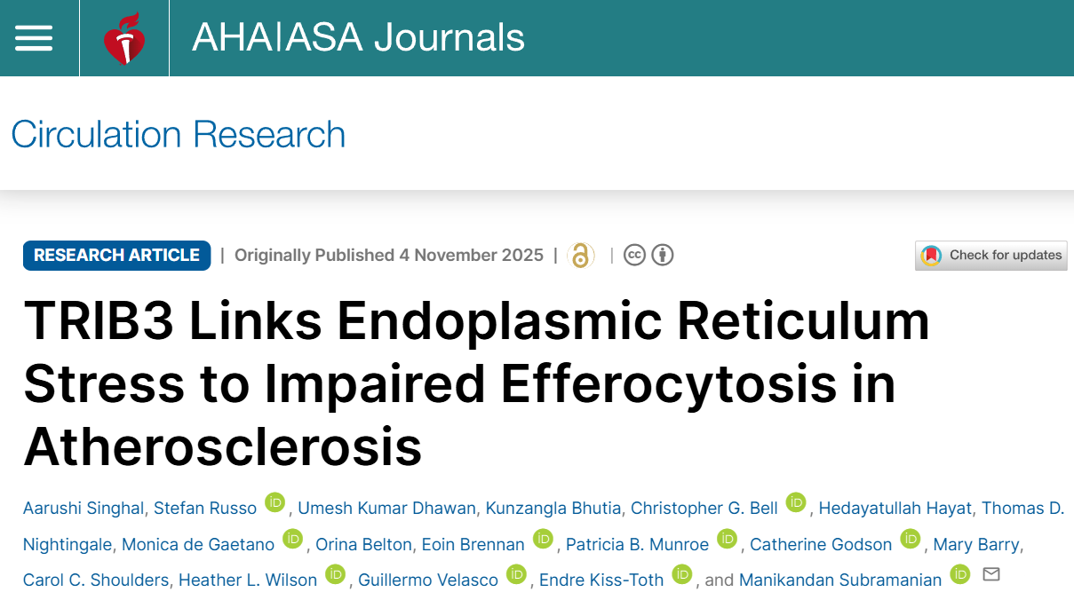 Manikandan Subramanian: In Our Latest Study We Uncover a Key Mechanism Behind Clearance of Dying Cells Failure