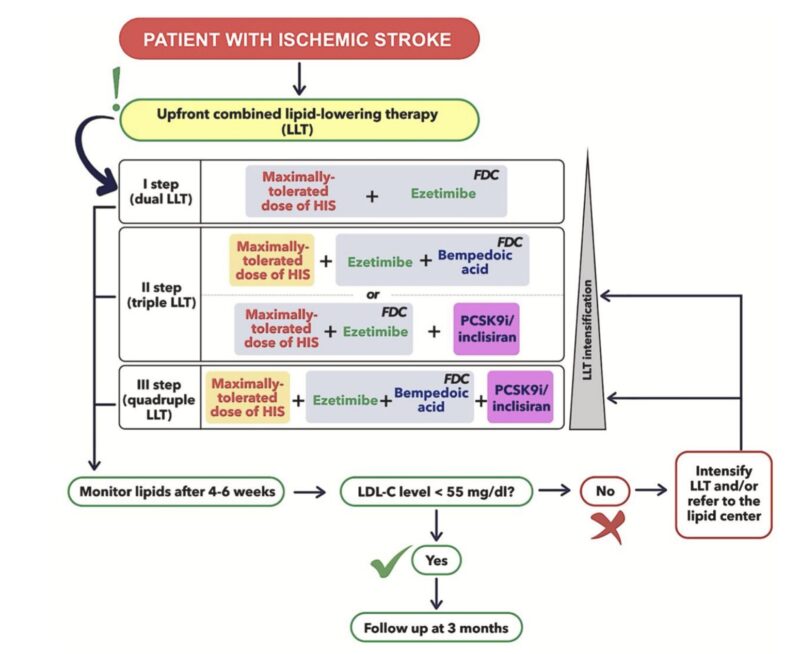 Maciej Banach: Ischemic Stroke is a Significant Global Health Challenge