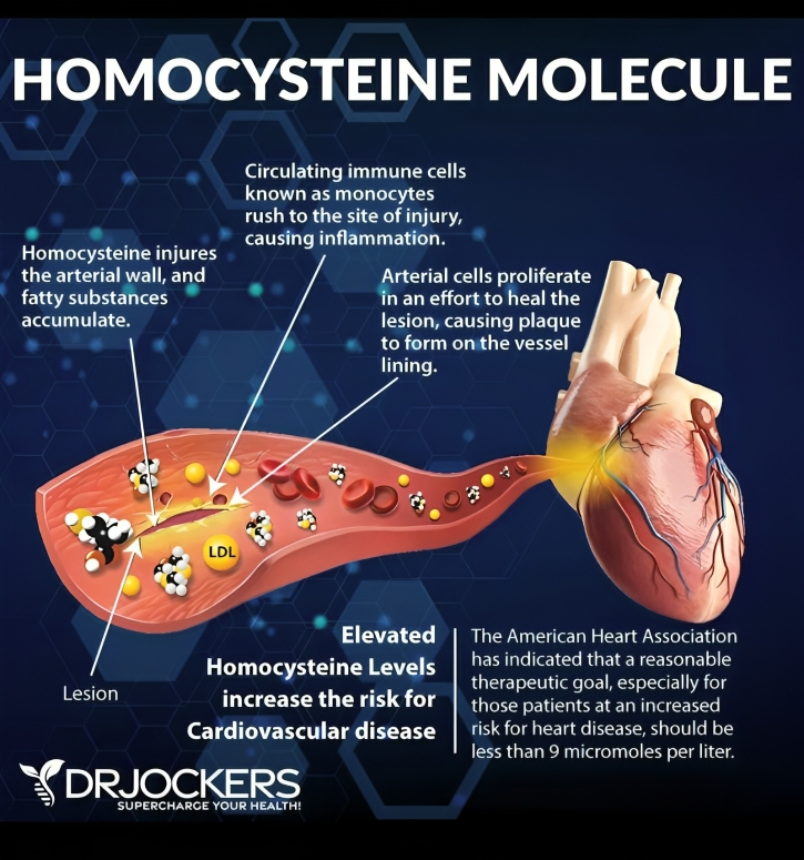 Heghine Khachatryan: Homocysteine - A Small Molecule with Big Clinical Consequences 1 Homocysteine