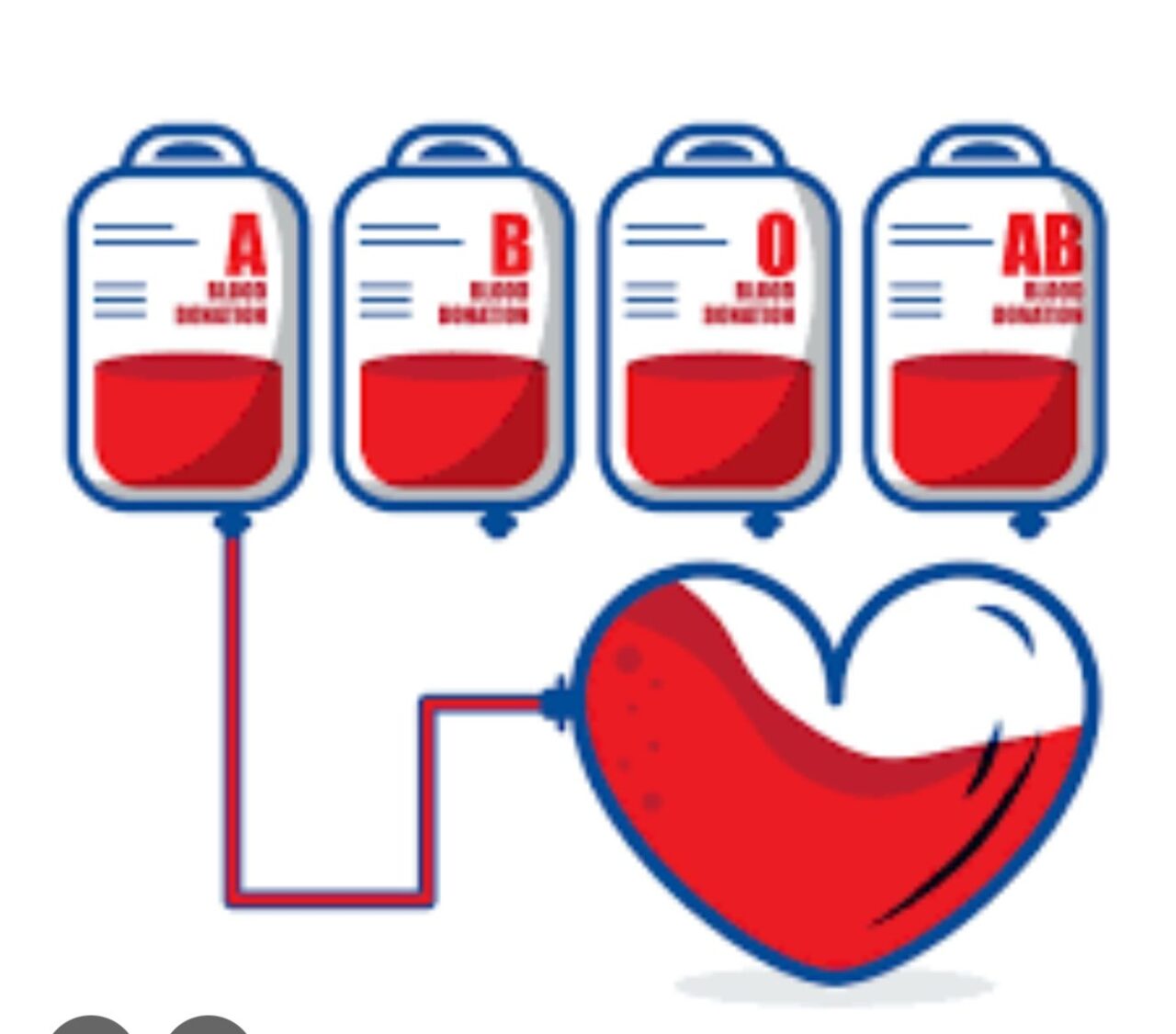 Heghine Khachatryan on the Lifeline of Blood: Why Every Donor is a Hero Behind the Science 1 Heghine Khachatryan on the Lifeline of Blood: Why Every Donor is a Hero Behind the Science