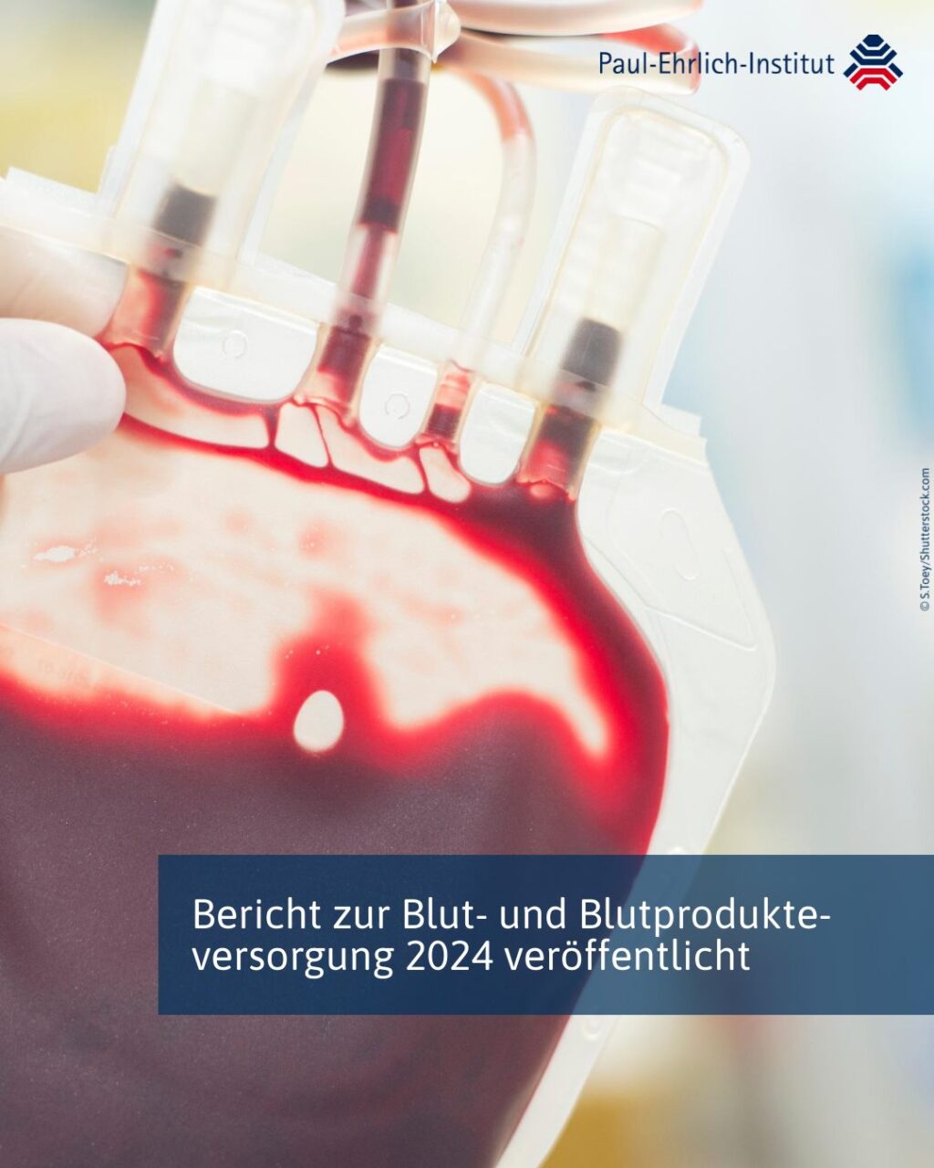 Paul-Ehrlich-Institut Collected and Reported The Blood Supply Situation for 2024