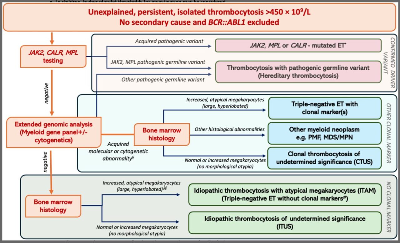 Amer Hayat Shares New BSH Guideline of Investigation and Management of Thrombocytosis
