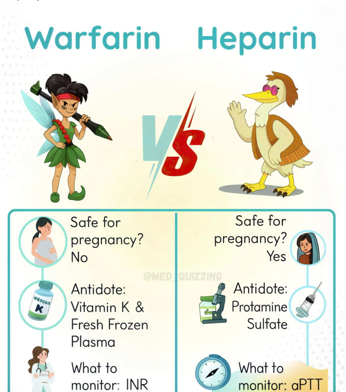 Heparin and Warfarin in Pregnancy 1 Pregnancy
