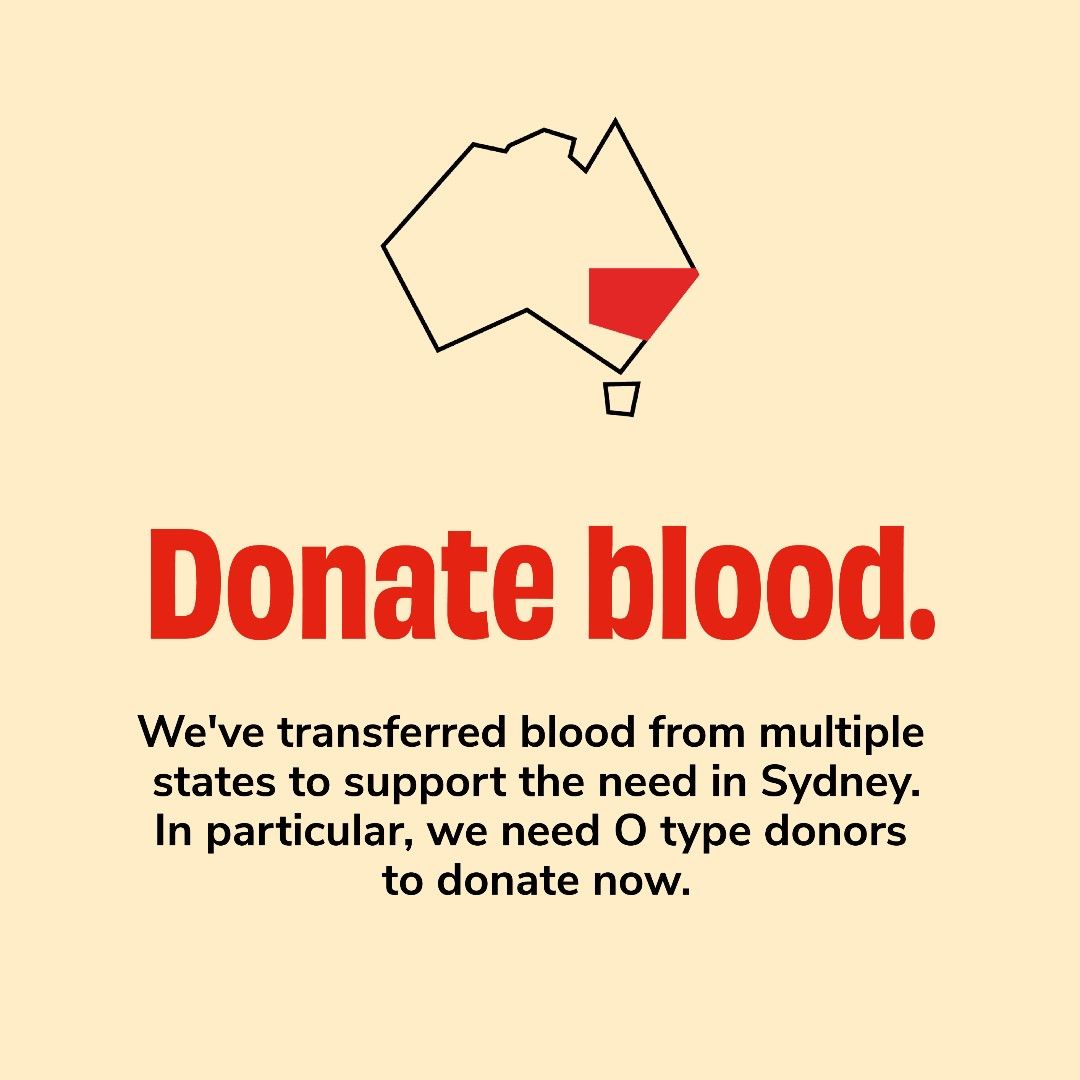 Australian Red Cross Lifeblood Issues Urgent Call for O Negative Donations After Bondi Tragedy 1 Australian Red Cross Lifeblood Issues Urgent Call for O Negative Donations After Bondi Tragedy