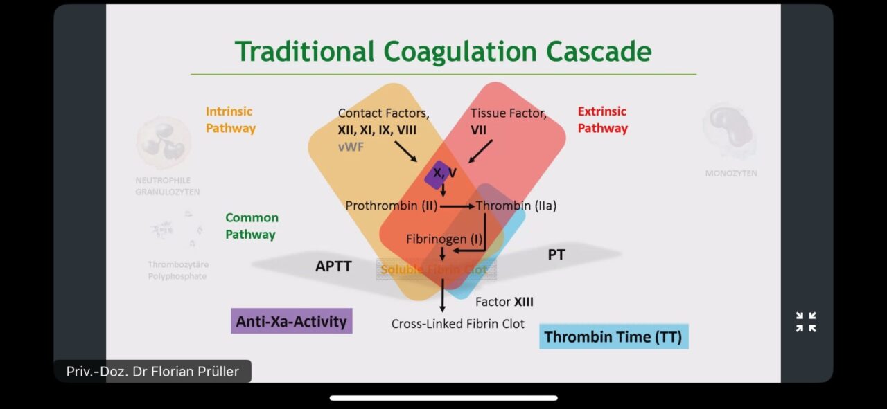 Saleh Shamse Basha Attended Sysmex Europe Haemostasis Webinar About Abnormal Platelet Function Test Using LTA