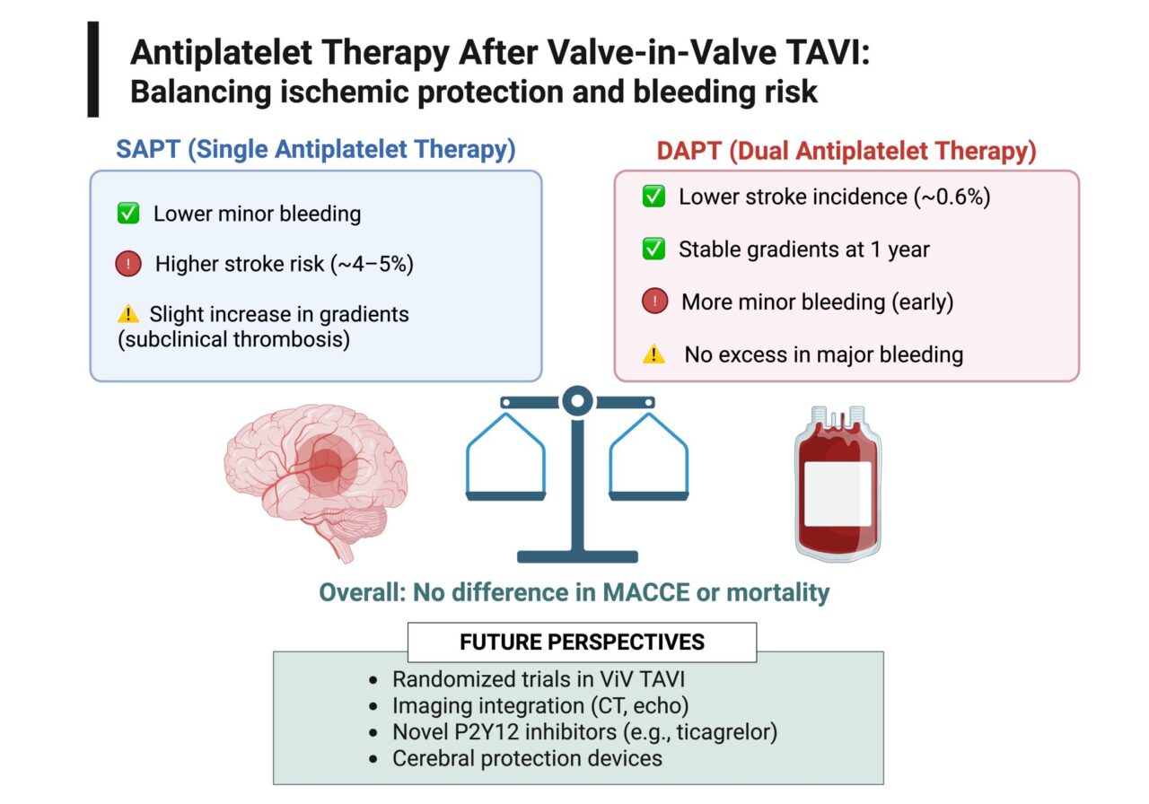 Víctor Alfonso Jiménez Díaz: SAPT or DAPT in Valve-in-Valve TAVI? Walking a Fine Line