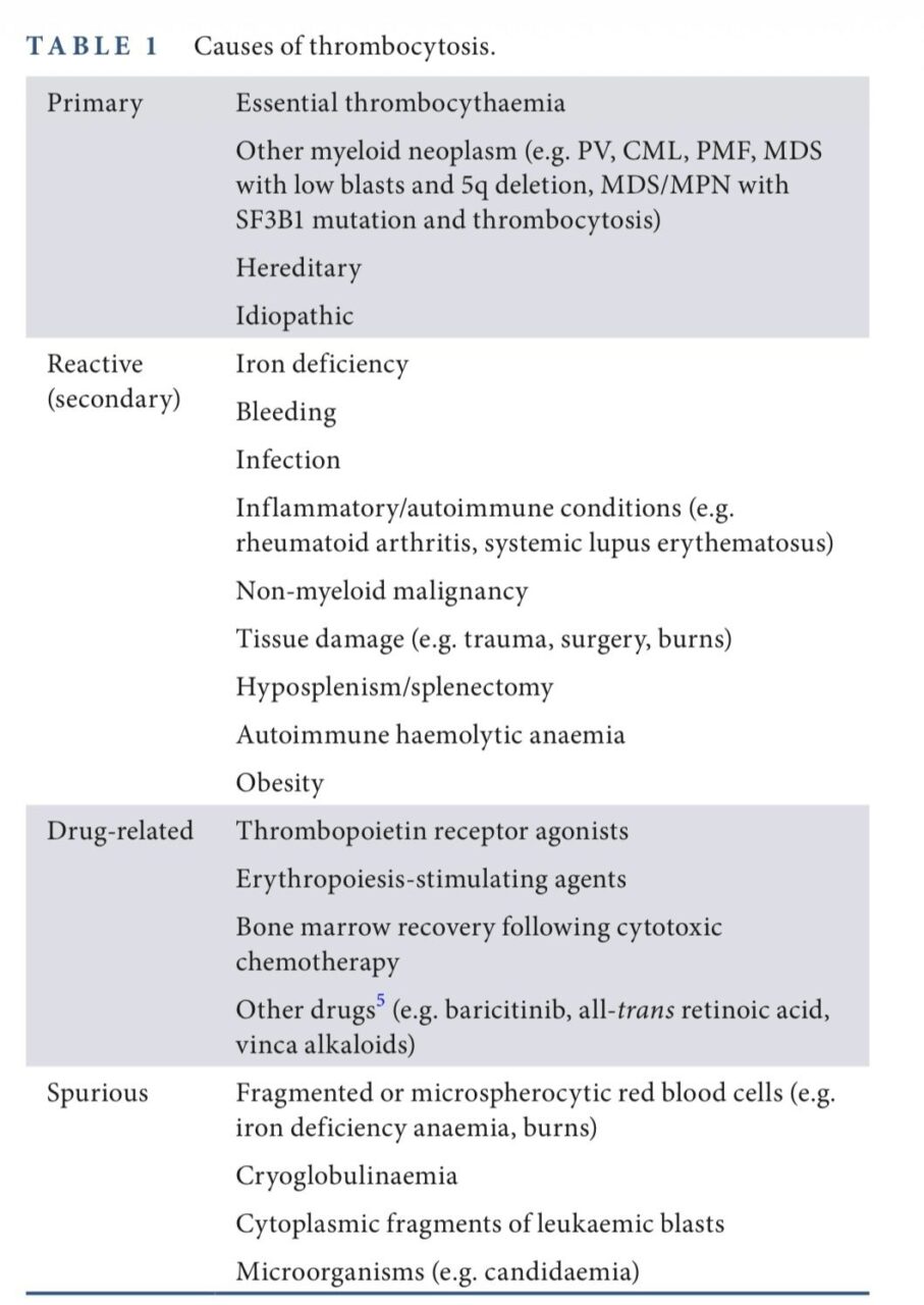 Fatemah Al Wusibai Presented Triple-Negative Thrombocytosis on BSH 2025