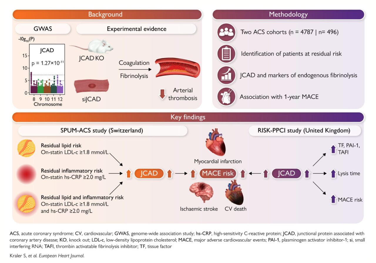 Simon Kraler and Colleagues' New Work on JCAD: Targeting Impaired Fibrinolysis to Address Post-ACS Residual Risk 2 Simon Kraler and Colleagues' New Work on JCAD: Targeting Impaired Fibrinolysis to Address Post-ACS Residual Risk