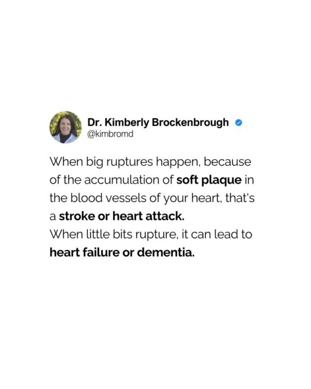 Kimberly Brockenbrough Explores Plaque Rupture