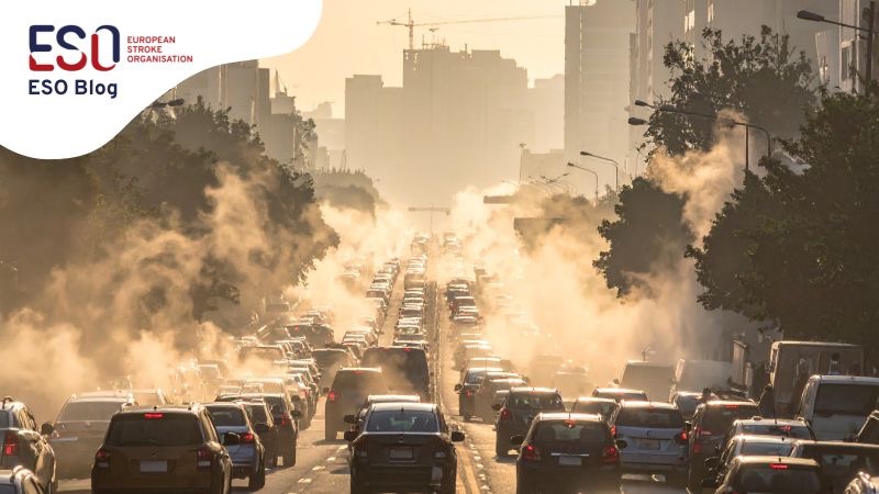 ESO Blog: Anna Gardin on Stroke Risk in the Era of Climate Extremes