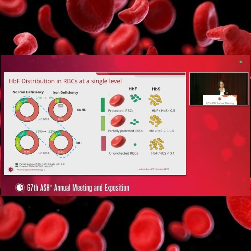 Marie Cambot on Innovhem's Quantification of The HbF/HbS Ratio for SCD 1 Marie Cambot on Innovhem's Quantification of The HbF/HbS Ratio for SCD