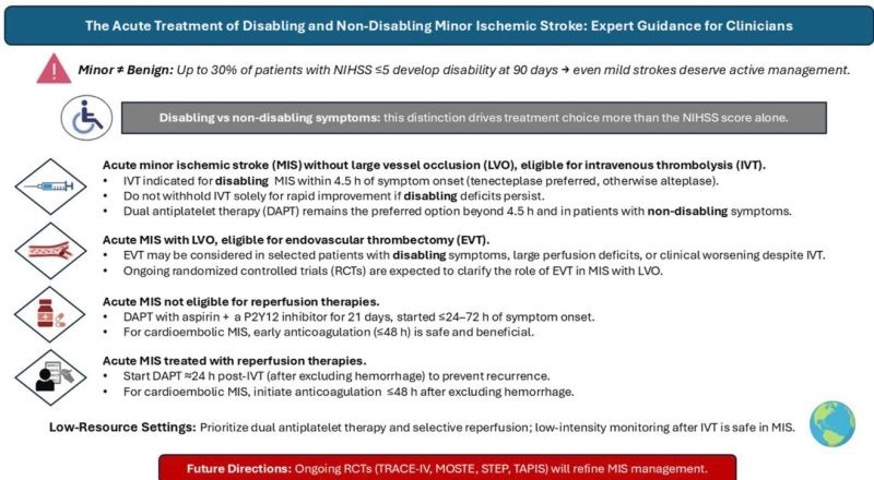 Matteo Foschi Presents The New Expert Guidance on Minor Ischemic Stroke 1 Matteo Foschi Presents The New Expert Guidance on Minor Ischemic Stroke