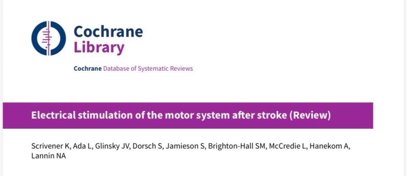 Kate Scrivener on Cochrane Review: 2025 Ends With a Big Milestone!