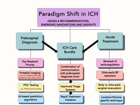 Love Preet Kalra on A Paradigm Shift in ICH 1 Love Preet Kalra on A Paradigm Shift in ICH