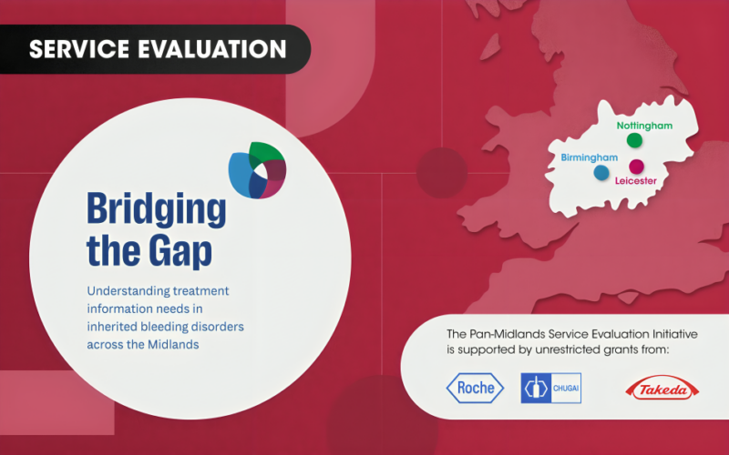 Laurence Woollard: Launching the ‘Bridging the Gap’ Evaluation 1 Laurence Woollard