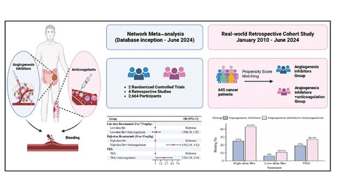 Cancer Patients․ Bleeding Risk Rises with Anticoagulants + Antiangiogenics ?