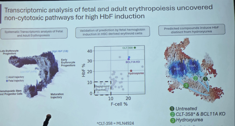ASH 2025 Spotlight: Transformative Sickle Cell Disease Clinical Developments 1 Sickle Cell