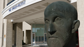 Paul-Ehrlich-Institut Collected and Reported The Blood Supply Situation for 2024