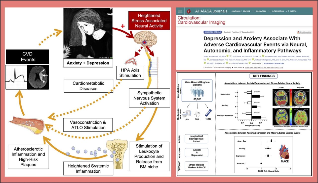 Rachel Rosovsky on New Research Linking Depression and Anxiety to Cardiovascular Risk
