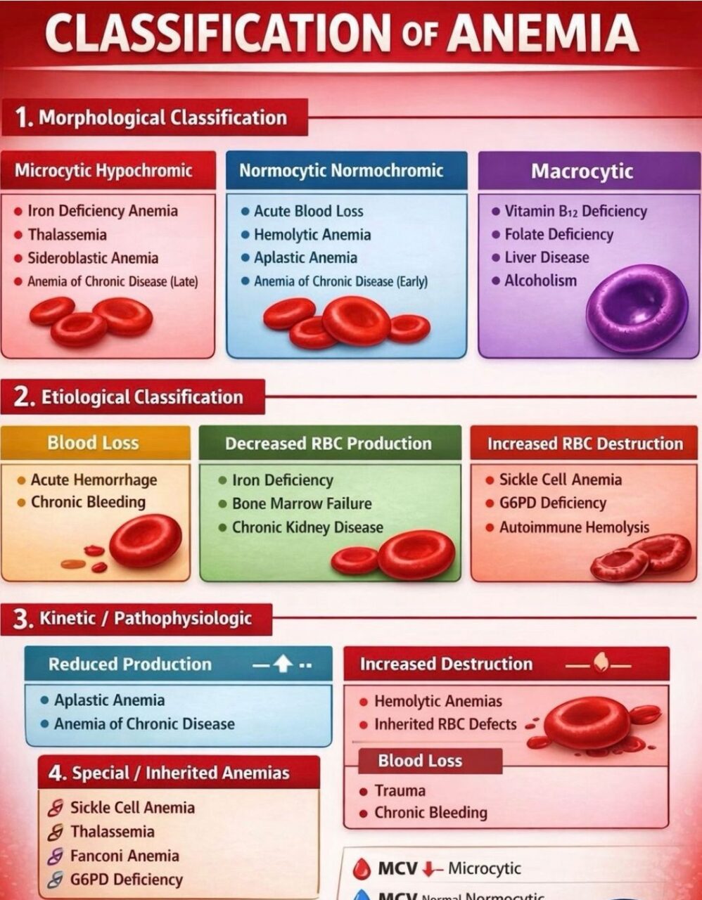 Classification of Anaemia: Three Main Ways by Samwel Mikaye