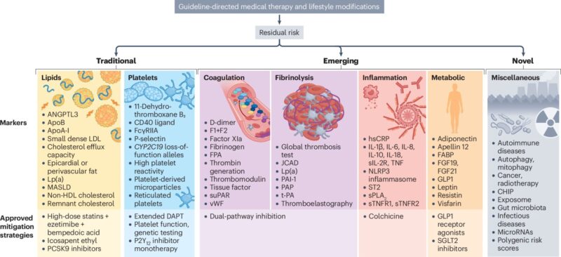 Martin Haluzík on Residual Cardiovascular Risk in Coronary Artery Disease