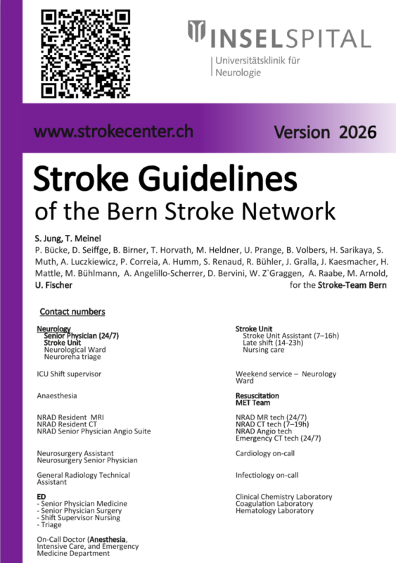 Thomas Meinel Shares The English Stroke Guidelines 2026 1 Thomas Meinel Shares The English Stroke Guidelines 2026