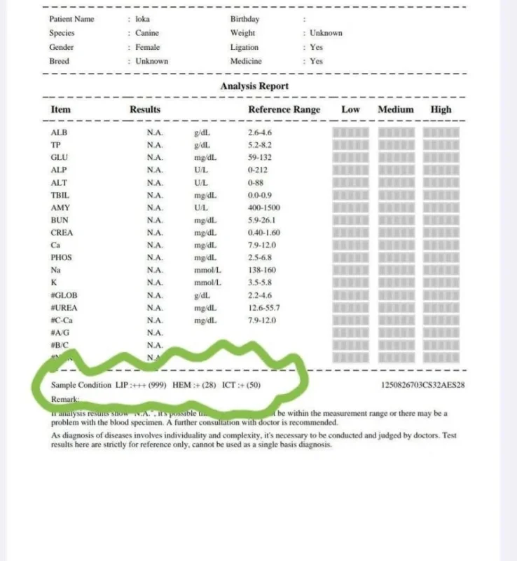 Mohamed Elsaid on The Role of Hyperlipidemia in Thrombogenesis