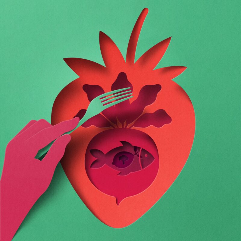 Mitchell Elkind on The New York Times Brain Health Challenge: Food Is Brain Medicine!