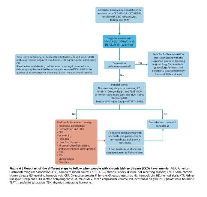 Rola Fayad Shares Key Clinical Updates on Anemia in CKD from KDIGO 2026